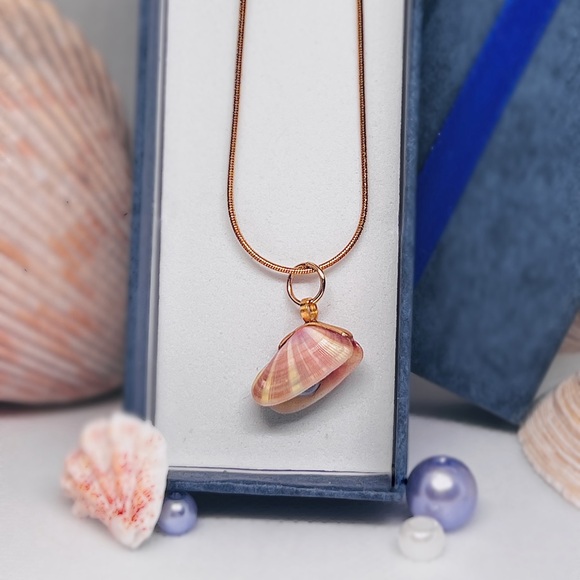 Coquiña shell pendant necklace locket with pearl - Picture 1 of 6